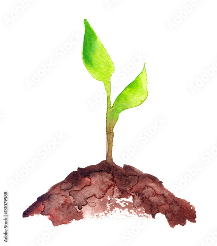 Fresh green sapling with two green leaves growing out of pile of brown earth painted in watercolor on clean white background photo