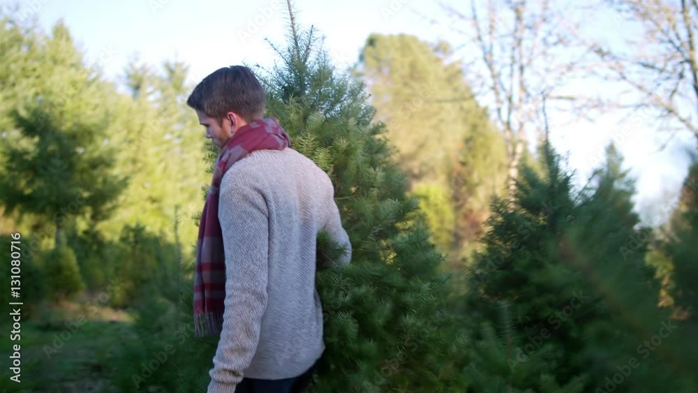 A young man carries a Christmas tree through the farm, wife and daughter following A young man carries a Christmas tree through the farm, wife and daughter following