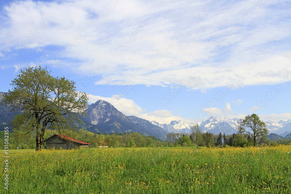 Allgäu - Alpen - Frühling - Oberstdorf - Berge - Felder