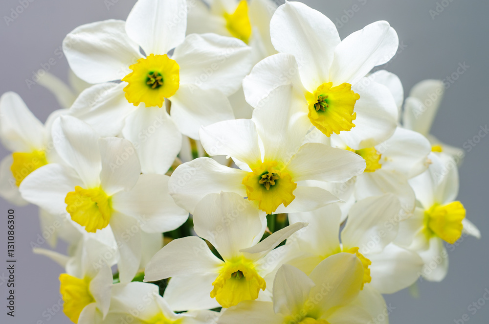 narcissus bouquet narcissus bouquet