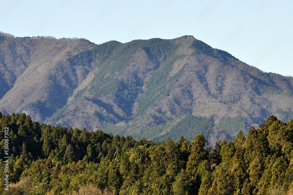 丹沢 焼山