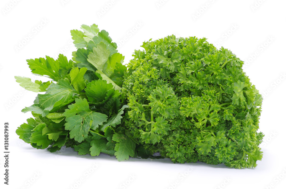 Fototapeta premium parsley