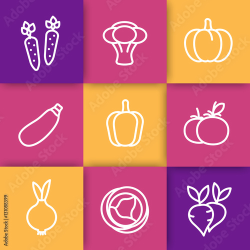 Vegetables line icons  carrot  broccoli  courgette  pumpkin  cabbage  zucchini  tomato  onion  vector illustration