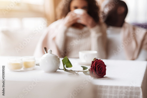 Delighted African American couple having the date in the cafe