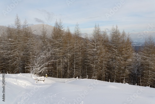 Wallpaper Mural Chemin Vosgien sous la neige Torontodigital.ca
