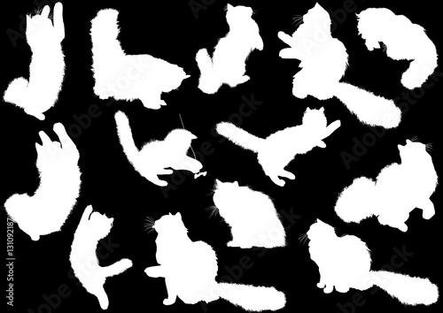 thirteen cat silhouettes collection isolated on black