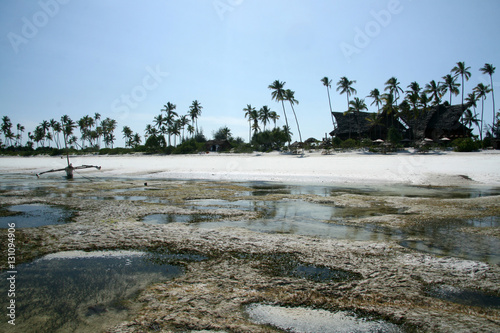 Matemwe Beach, Zanzibar photo