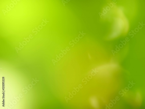 green soft focus blurred background