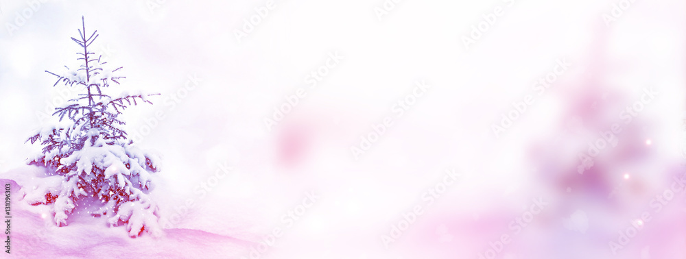 forest in the frost. Winter landscape. Snow covered trees. forest in the frost. Winter landscape. Snow covered trees.