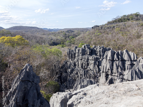 bizarre limestone rock formations - Tsingy,  reserve Ankarana, Madagascar photo