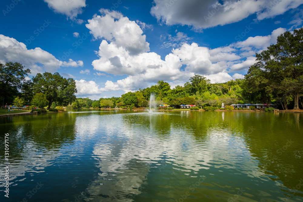 Fototapeta premium Beautiful clouds over the lake at Freedom Park, in Charlotte, No