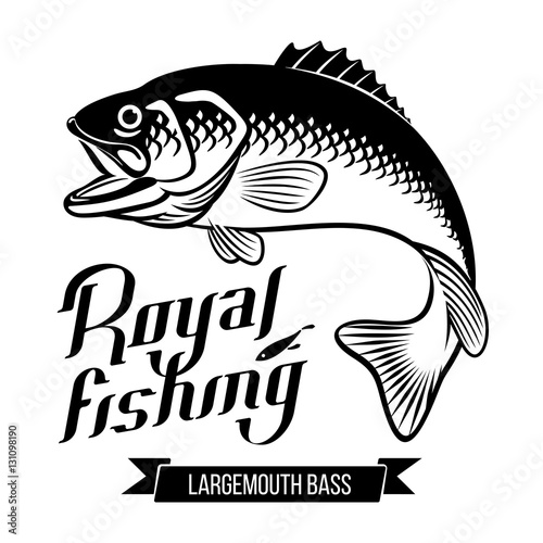 Largemouth Bass illustration
