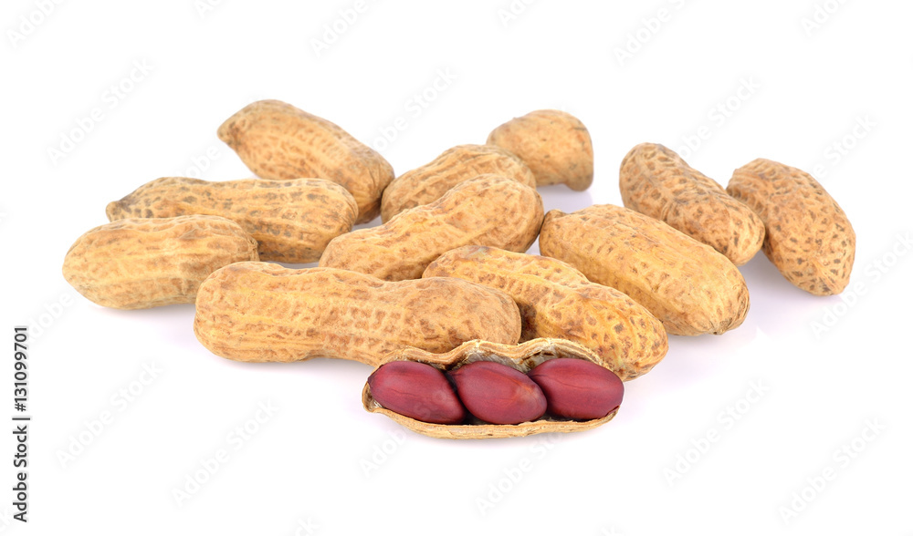 peanut on white background peanut on white background