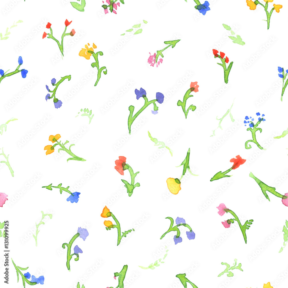 Seamless pattern of watercolor meadow, flowers on white. Hand painted background with wildflowers.