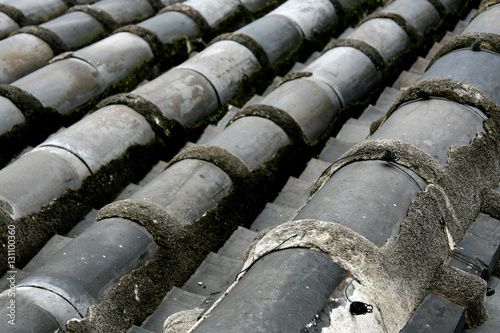 Roof Detail - Himeji Castle, Japan photo
