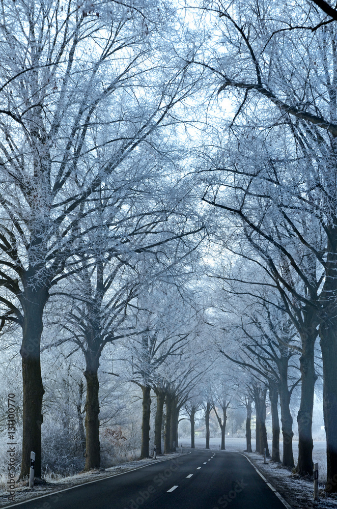 Fototapeta premium Landstraße im Winter