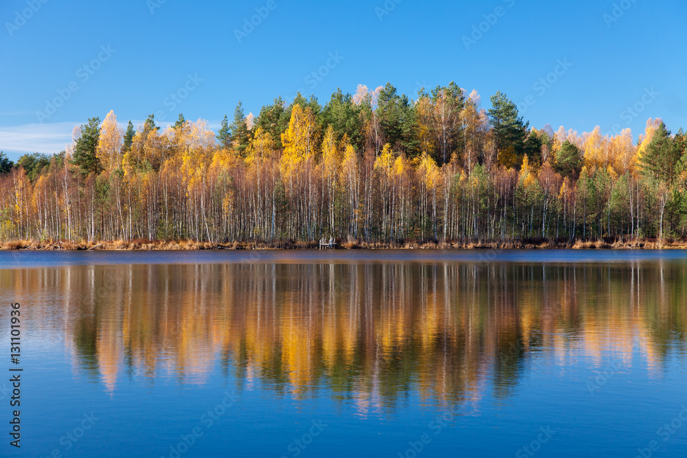 autumn forest over lake