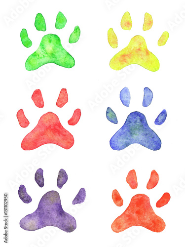 Watercolor collection with the animal tracks 