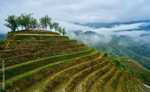 Yaoshan Mountain, near the city of Guilin, Province of Guangxi. China hillside rice terrace landscape with the village