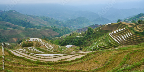 Yaoshan Mountain, near the city of Guilin, Province of Guangxi. China hillside rice terrace landscape with the village