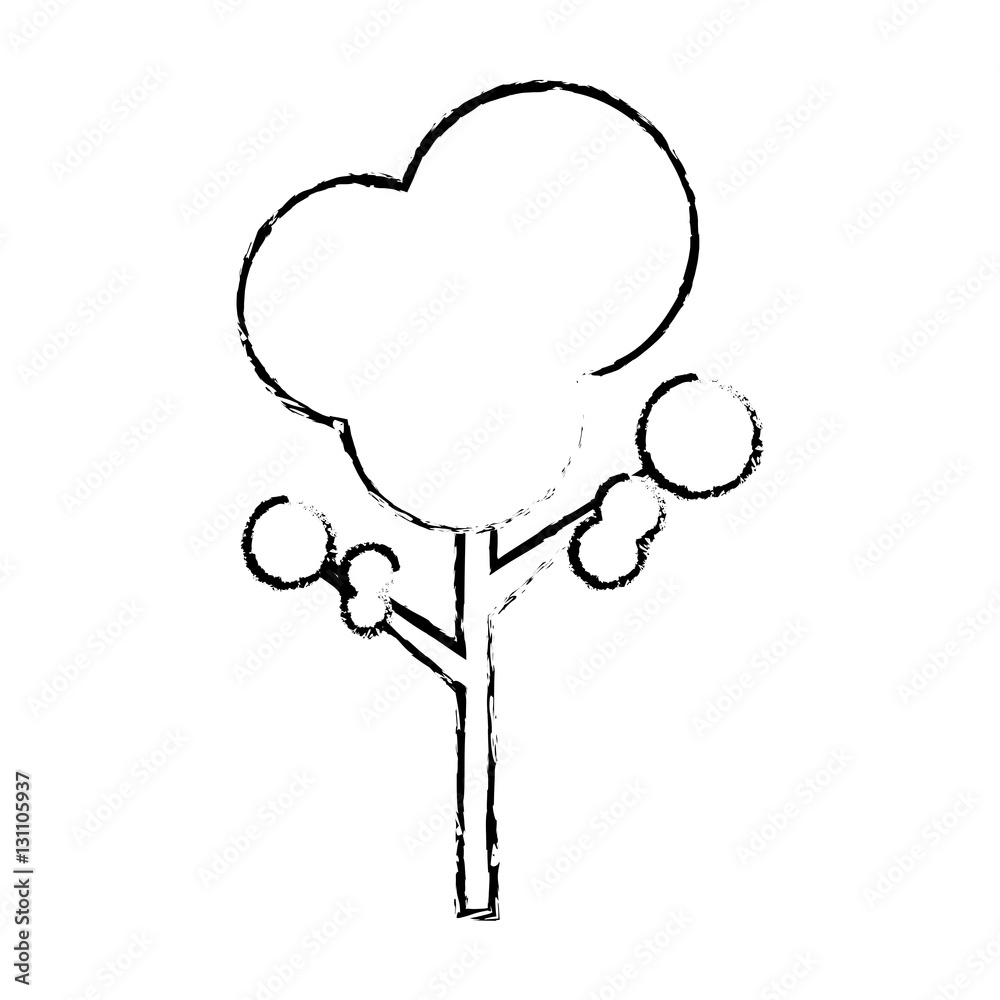 isolated natural tree icon vector illustration graphic design