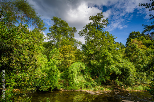 Little Sugar Creek  at Freedom Park  in Charlotte  North Carolin