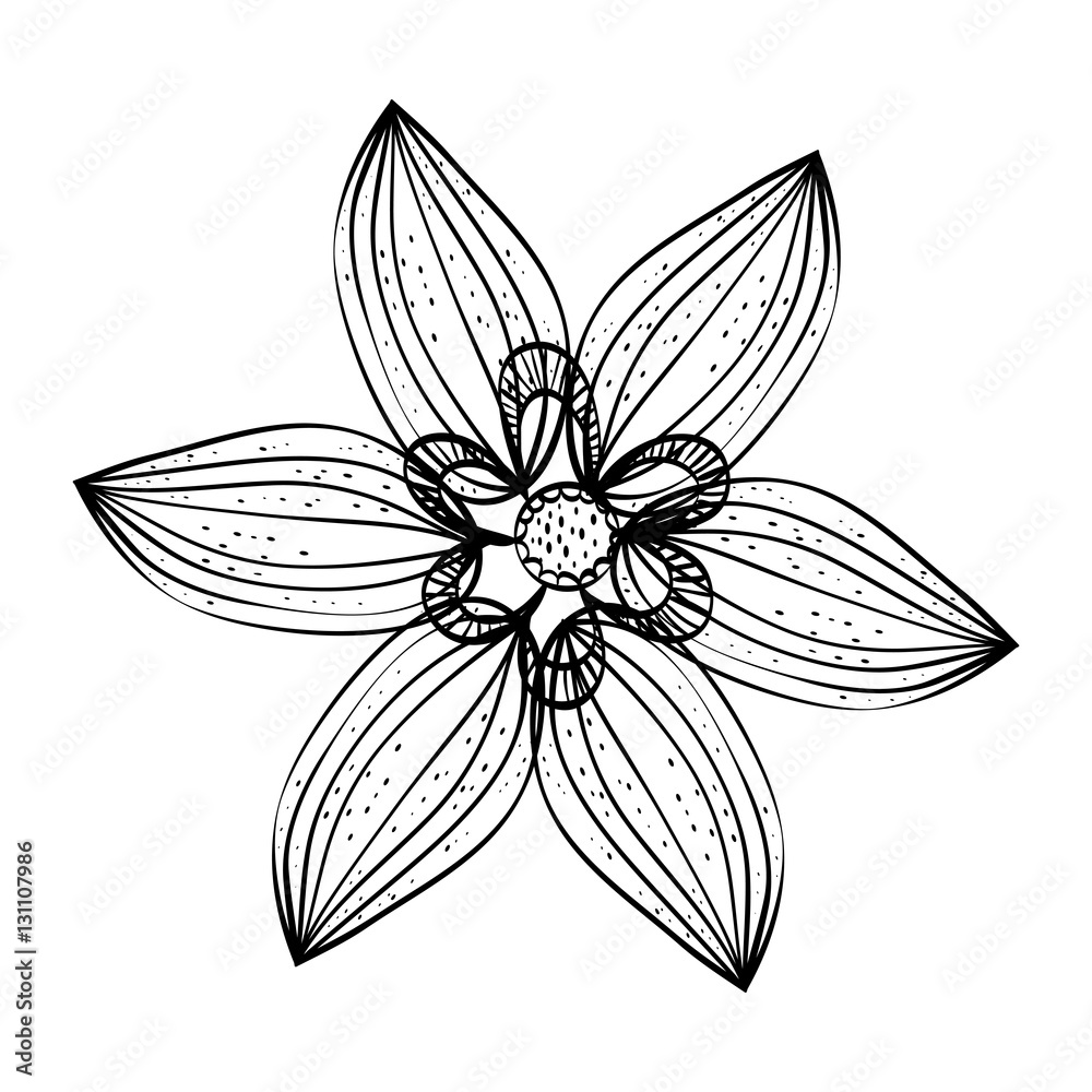Beautiful flower in black and white icon vector illustration graphic design Beautiful flower in black and white icon vector illustration graphic design