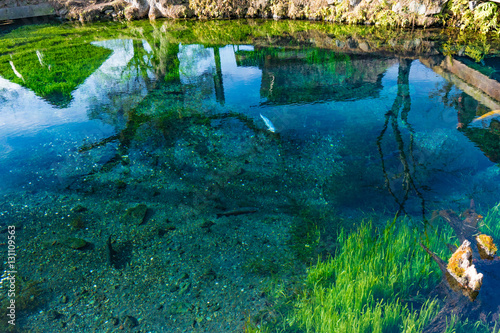忍野八海の風景