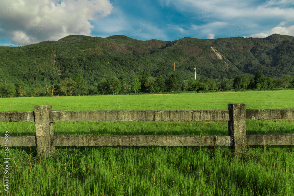 concrete fence of farm,natural green grass field with mountain in background.