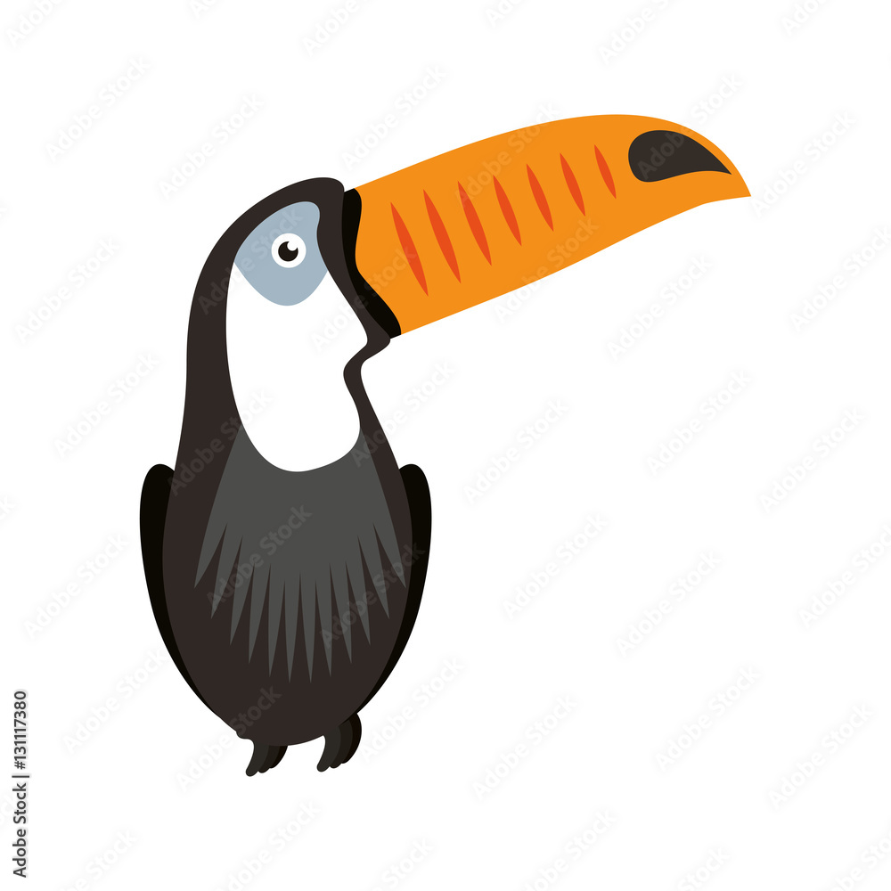 Naklejka premium toucan tropical bird icon vector illustration design