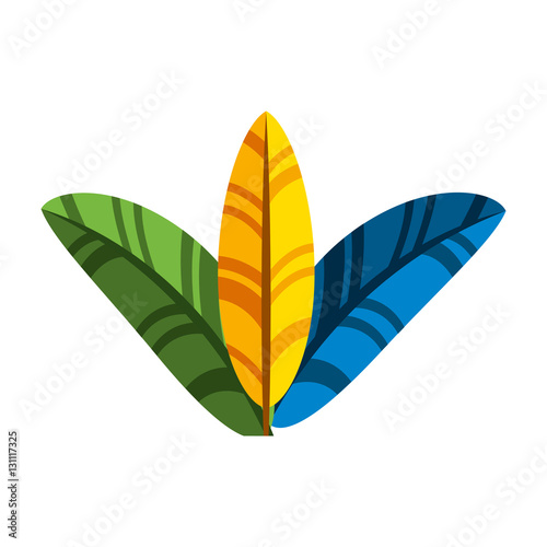feather tropical carnival decoration vector illustration design