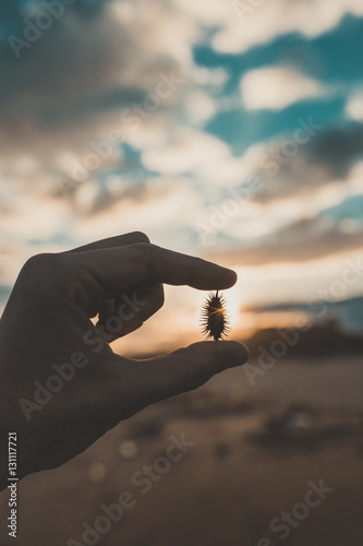 Mano che sta tenendo in mano un piccolo oggetto trovato sulla spiaggia contro luce al tramonto.