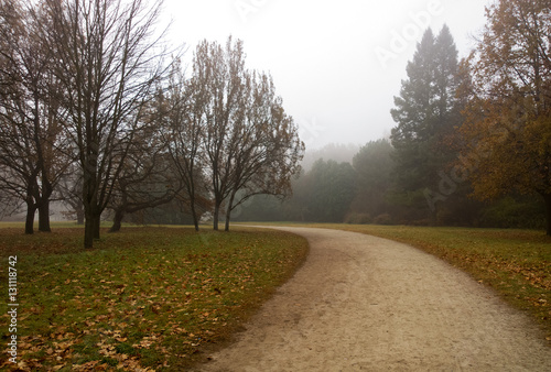 Autumn landscape.