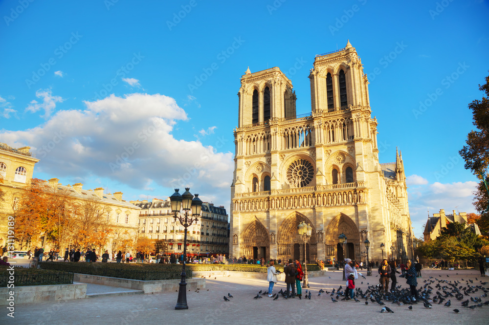Fototapeta premium Notre Dame de Paris cathedral