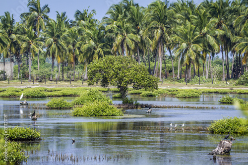Lagoon in Kalpitiya, Sri Lanka