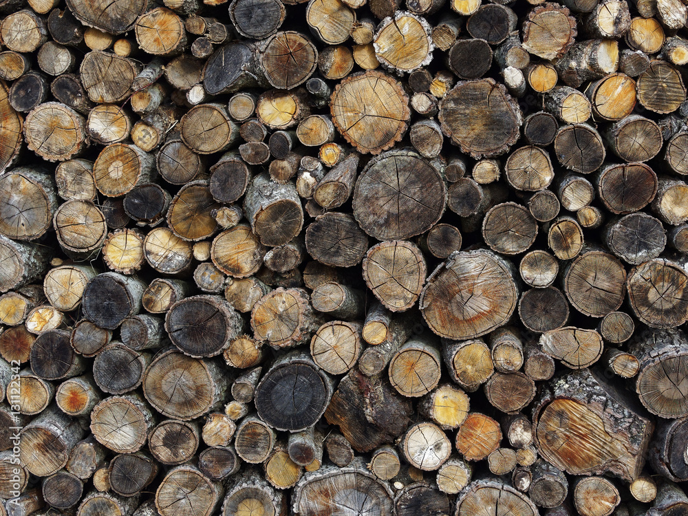 Lumber Lumber