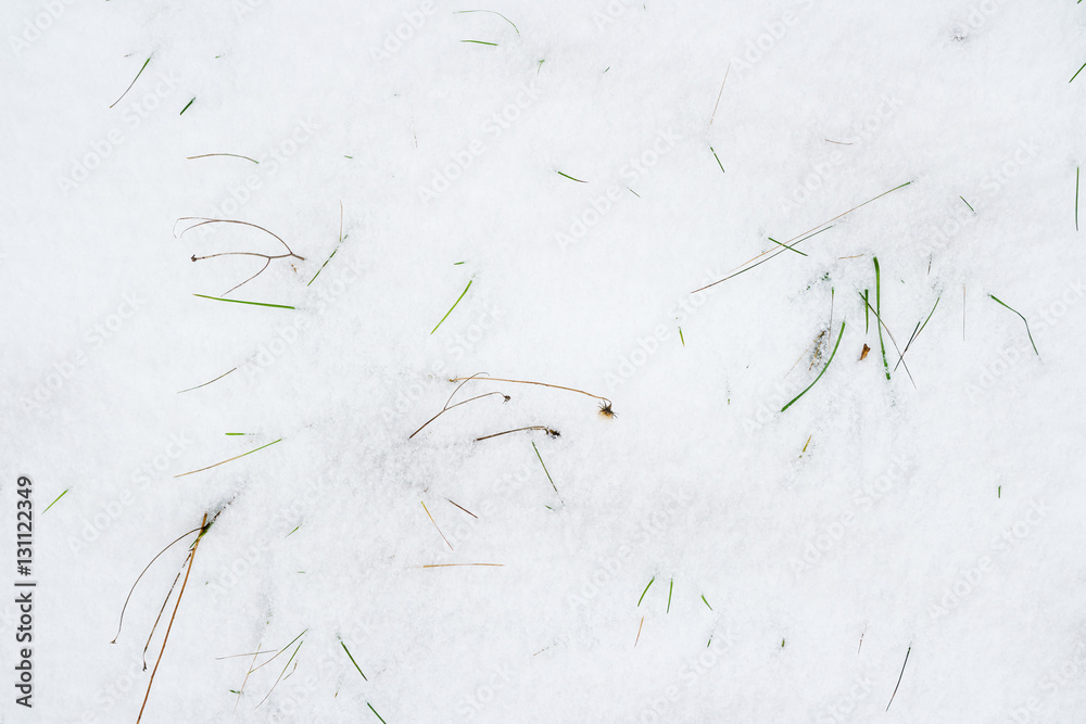 Green Grass Covered With First Snow Stock Photo Adobe Stock
