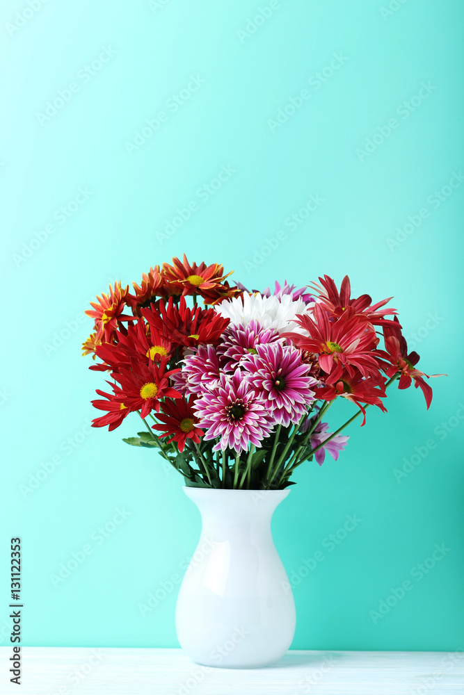 Chrysanthemum flowers on a mint background