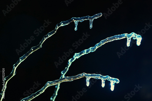 frosen icicles on tree branches night sceen photo