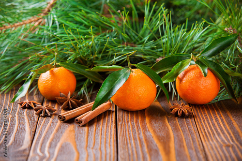 holiday tangerines with fir branches