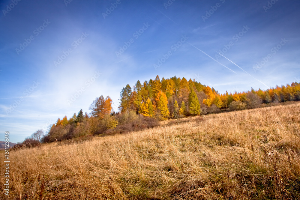 Fototapeta premium Słoneczny jesienny dzień w górskim mieście Muszyna. Sunny autumn day in the mountain in Muszyna - Poland. 