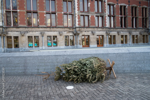 Discarded christmas tree on the street.