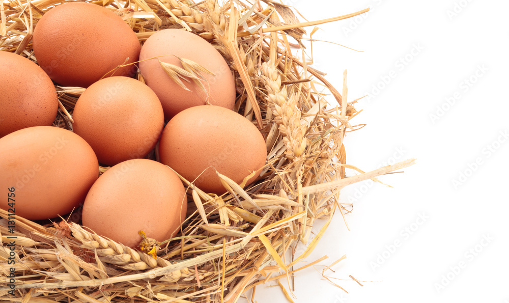 Chicken eggs in nest of straw. Isolated on white background. Chicken eggs in nest of straw. Isolated on white background.