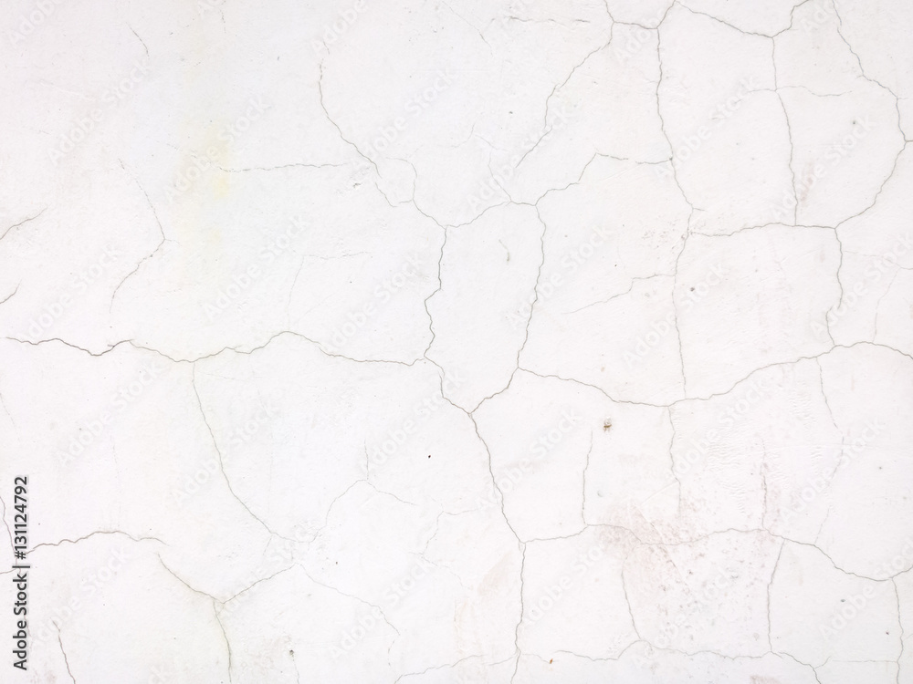 Obraz premium Plaster.