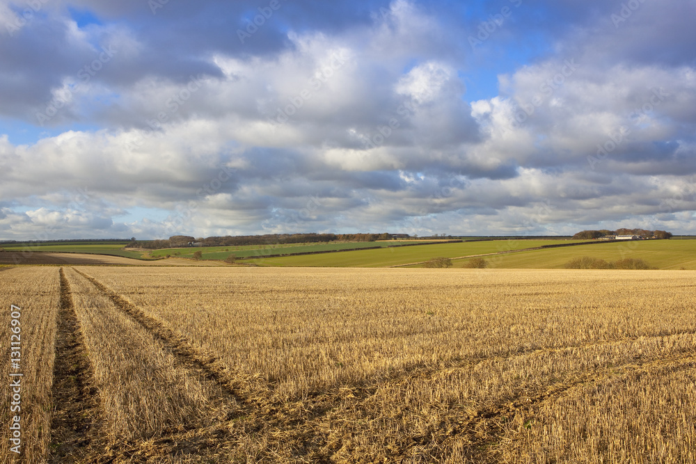 yorkshire wolds vista yorkshire wolds vista