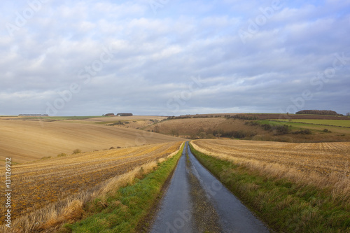 country road and farmland