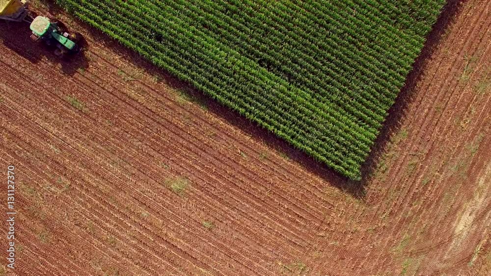Farm machines harvesting corn for ethanol. The entire corn plant is used, there is no waste! Farm machines harvesting corn for ethanol. The entire corn plant is used, there is no waste!