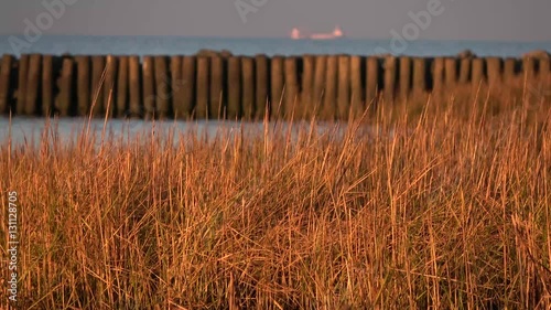 Lahnung zur Landgewinnung, Nationalpark, Wattenmeer, 4k photo