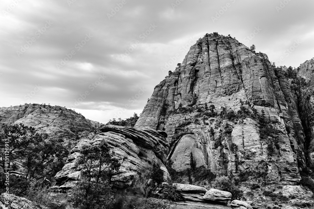 Landscape up on the mountain at Zion National Park in black and white,  USA