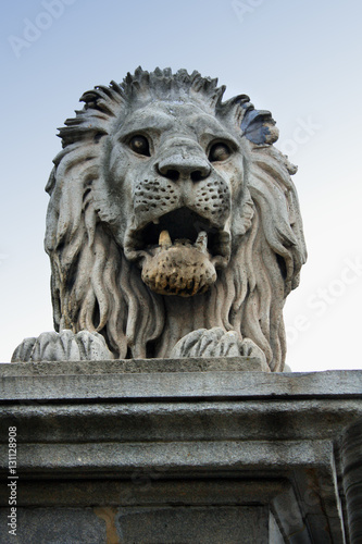 Lion statue on old Chain bridge on danube river in Budapest city, Hungary